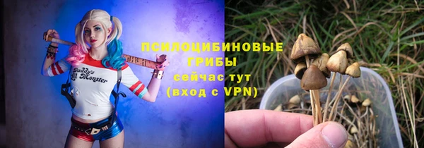spice Балахна