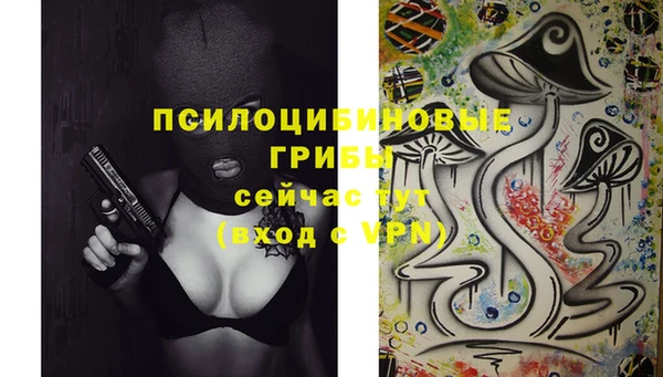 spice Балахна